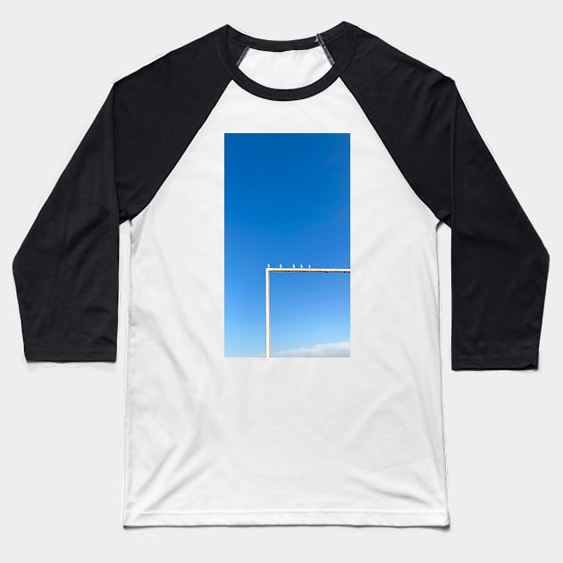 Seagulls sit on a pipe Baseball T-Shirt by taya-stdnk